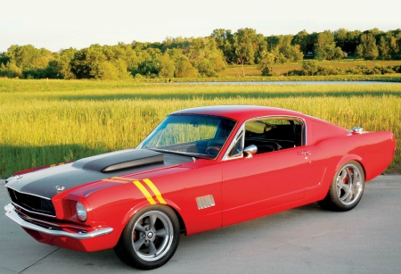 1965 Ford Mustang Fastback - classic, ford, 1965, red