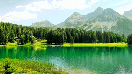 The Obersee And Tiejer Flue - lake, forest, hotel, beautiful, switzerland, mountain, green, grass