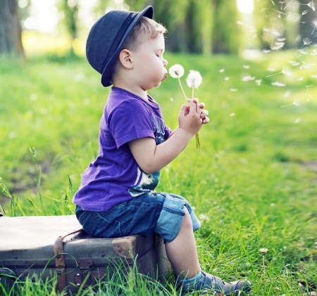 Make aWish - dandelion, abstract, hat, boy