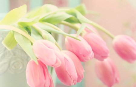 â™¥ - tulips, flowers, pink, soft