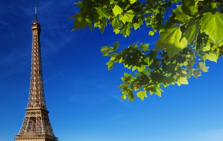 Spring in Paris - wallpaper, image, new, expression, color