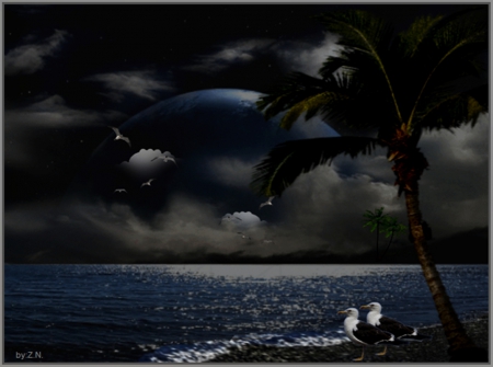 good night - clouds, moon, birds, ocean, tree, sky