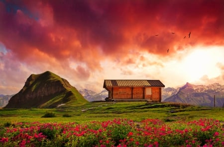 Pink world - rocks, beautiful, cottage, amazing, cabin, afternoon, view, usmmer, sunset, mountain, pink, world, wildflowers, fiery, hills, sky, peaks, clouds, lovely