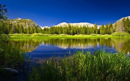 Blue lake - lake, sky, mountain, trees, greenery, shore, serenity, nature, tranquility, quiet, calmness, reflection, blue, grass