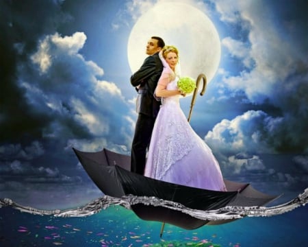 Get married - moon, sky, groom, umbrella, bride