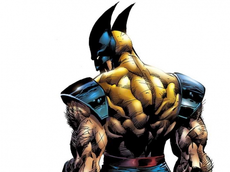 Wolverine - COMIC, wolverine, X MEN, MARVEL