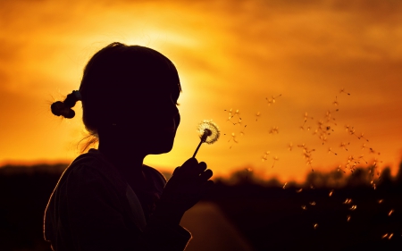 Make a wish! - silhouette, girl, fluffy, sun, child, summer, black, dandelion, orange