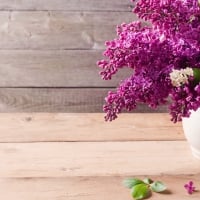 Vase of Lilacs