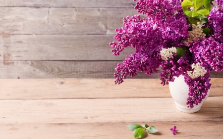 Vase of Lilacs - nature, lilacs, flowers, vase