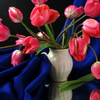 Beautiful Tulips in Vase