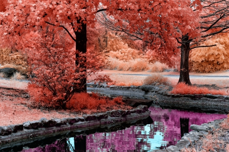 Beautiful Nature - autumn, trees, water, bushes, creek, reflection, pink, red, orange, grass