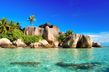 Seychelles Islands - turquoise, palm trees, beach, paradise, blue sky, crystal waters, rocks, beautiful, island, sea