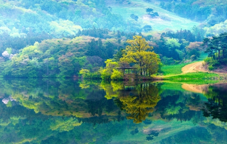 Spring Reflections, Seosan, South Korea - trees, beautiful, grass, forest, reflection, mountain, autumn, lakes, Nature Reserve