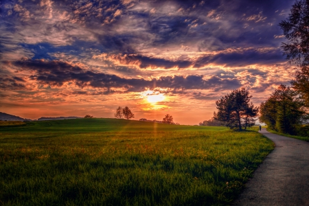 Splendor - street, sky, sunset, road, evening, walk, clouds, green, sunrays, grass, tres, rays, landscape, sunlight, ally, nature, splendor