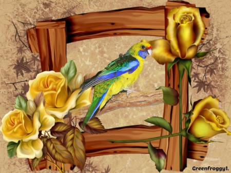 FRAMED PARROT - creation, frame, roses, parrot