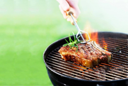 barbecue - dinner, summer, food, barbecue, steak