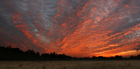 Sunset - amazing, sunset, trees, clouds