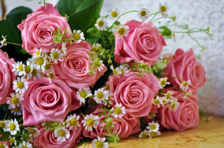 Pink Roses