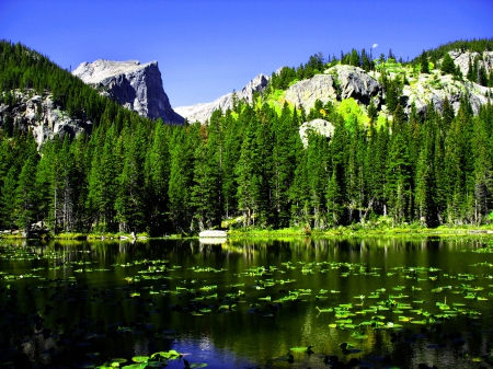 Emerald lake - quiet, trees, hills, beautiful, tranquil, forest, reflection, mountain, calmness, shore, green, serenity, lake, emerald, sky, rocks