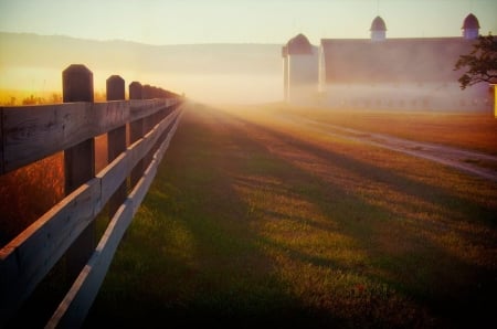 â€¢Sunriseâ€¢ - sunshine, farm, branch, sun, sunset, mist, dusk, scene, fields, morning, fence, landscape, light, wallpaper, country, hd, nature, dawn, fog, sunrise