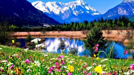 Mountain Lake - reflection, blossoms, water, flowers, colors, mountains