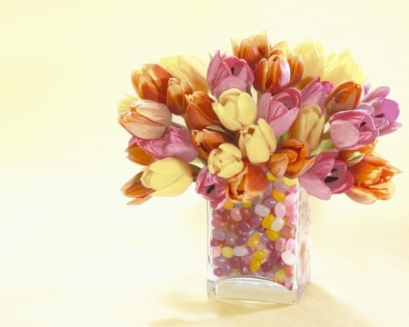 Special gift - tulips, tulip, gift, flower