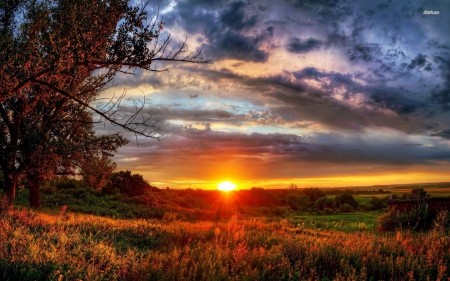 Beautiful Sunset - trees, meadow, sunset, landscape