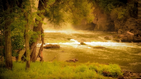 sunshine on a rapid river - river, trees, shore, sunshine, grass, rapids, rocks