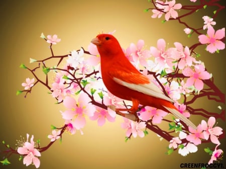 Red - blossoms, red, branches, bird