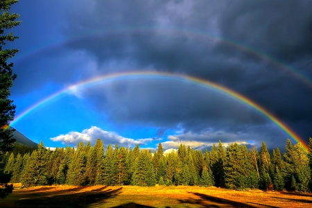 Double Rainbow Near Jasper National Park - clouds, rainbow, beautiful, Canada, grass, forest, Alberta, sky