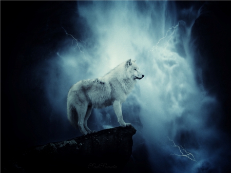 Far and Away - animal, wolf, abstract, fantasy