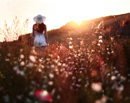 Flickers - field, lady, model, photography