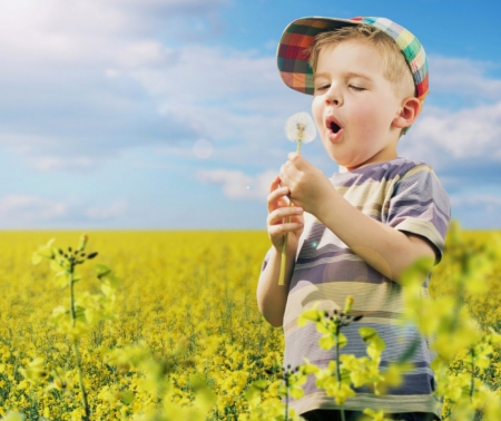 â™¥ - field, dandelion, cute, boy