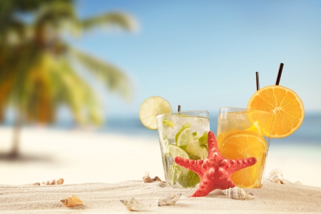 Summer Time - seashells, beach, sun, paradise, summer, nature, plam tree, summer time, holiday, orange, splendor, lime, sea, sand, cocktails