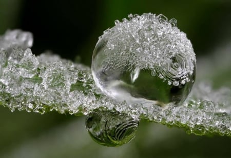 Frozen  droplet - frozen, ice, droplet, cold