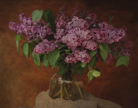 * Lilacs * - flower, flowers, spring, nature, lilacs