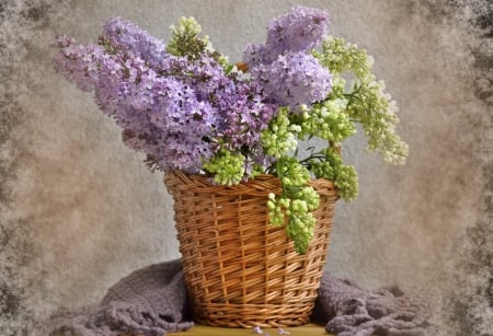 * Lilacs * - flowers, flower, nature, lilacs