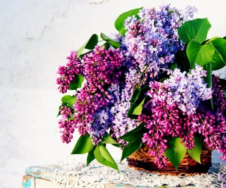 * Lilacs * - flower, flowers, nture, basket, lilacs