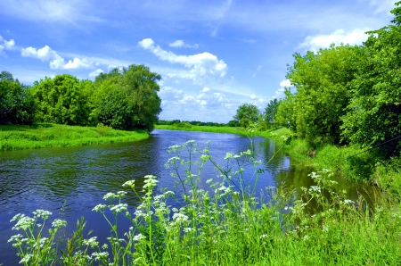 River scene - sky, trees, riverbank, greenery, stream, shore, serenity, calm, nature, river, beautiful, clouds, scenery, grass