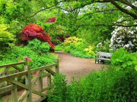 Wisley woodland - woodland, nice, trees, paradise, greenery, flowering, bench, spring, pretty, blossoms, walk, bridge, garden, park, summer, lovely, beautiful, rest