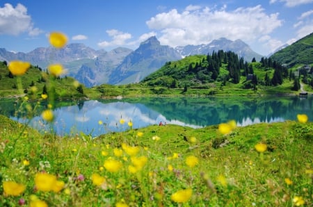 Landscape with mountain and lake - mirror, rocks, beautiful, relax, rest, view, lakeshore, mountain, landscape, flowers, serenity, lake, sky, calmness, peaks, reflection, clouds, tranquil