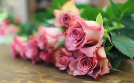 * Roses * - nature, roses, pink, flowers, bouquet, flower