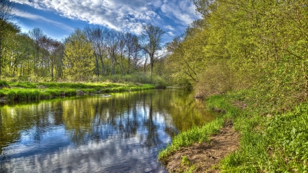 lovely forest river in spring