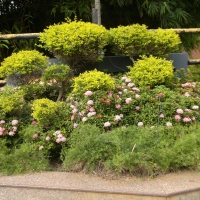 Hailand Sceneries - Budhist Amusement Park