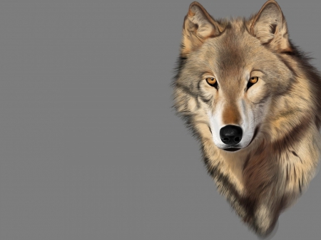 wolf art - wallpaper, black, wisdom, timber, wolf art, white, canislupus, wolf, wolves, saying, howling