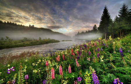 Splendor - sky, water, mountains, spring, river, spring time, clouds, grass, enchanting nature, drops, streams, wild flowers, landscape, rain, summer, nature, sk, fog, splendor, flowers, lovely flowers, lupine