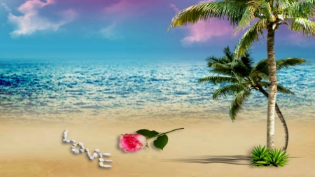 ~*~ Sand Love ~*~ - love shells, sand love, beaches, rose, sand, pink rose