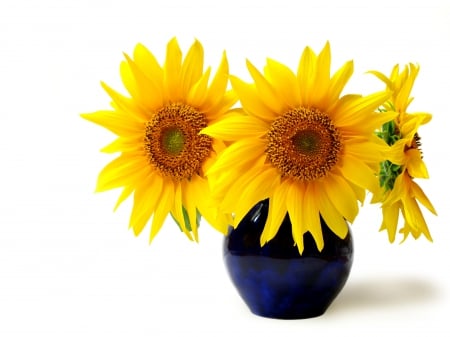 Sunflowers - summer, flower, vase, yellow, sunflower