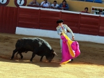 Bull Fighter