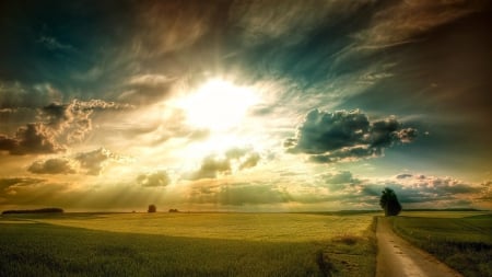 fields - fields, nature, clouds, dawn, road, sunrise